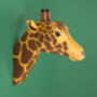 Create Your Own Gentle Giraffe Head, thumbnail 3 of 4