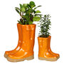 Personalised Orange Welly Boot Planters Gift Set, thumbnail 2 of 10