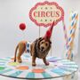 Personalised Circus Lion Cake Topper, thumbnail 2 of 5