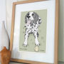 Personalised Pet Portrait Illustration, thumbnail 5 of 12