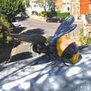 Bumble Bee Garden Decoration By London Garden Trading