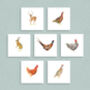 Game Animals Greetings Cards, thumbnail 1 of 8