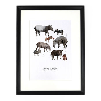 Candle Of Tapirs A4 Art Print, 4 of 8
