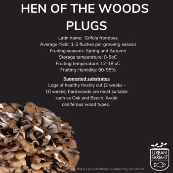 Hen Of The Woods/Maitake Mushroom Plug/Dowel Spawn, 4 of 4