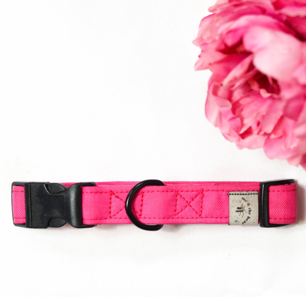 Waterproof Dog Collar By Me & The Bear