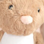 Personalised 1st Birthday Bunny Soft Toy, thumbnail 2 of 3