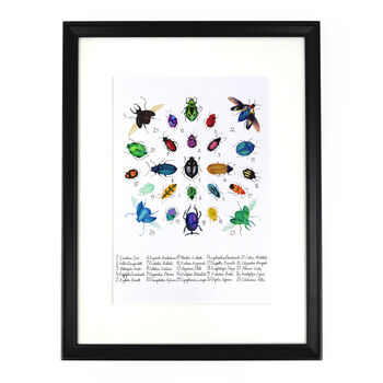 Coleoptera Beetle Art Print, 4 of 8