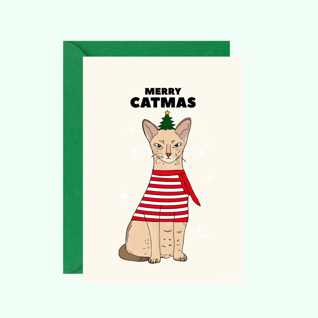 Cute Cat Christmas Card