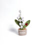 Large Plant Pot Collection, thumbnail 2 of 9