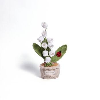 Large Plant Pot Collection, 2 of 9