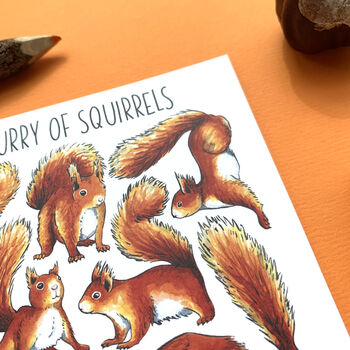 Red Squirrels Wildlife Watercolour Postcard, 9 of 10