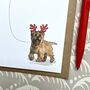 Cairn Terrier Christmas Card, thumbnail 2 of 2