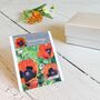 Wildflower Seed Wedding Favours In Moire Boxes, thumbnail 9 of 9