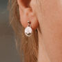Scallop Shell Earrings Friends Of The Sea, thumbnail 1 of 5