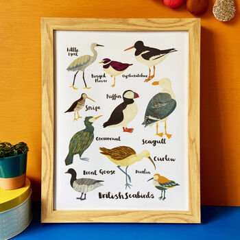 'British Seabirds' Illustrated Print, 2 of 7