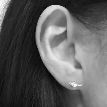 Sterling Silver Good Luck Robin Bird Earrings, 4 of 12