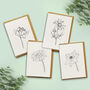 Plantable Seed Paper Cards Four Pack Colouring, thumbnail 1 of 2
