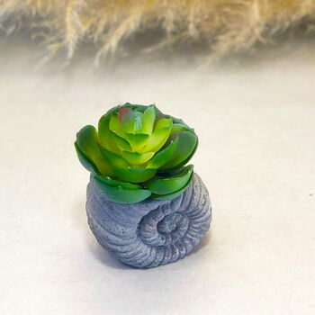 Concrete Shell With Faux Cactus Ornament, 10 of 10