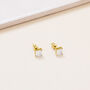 Sterling Silver Plated Square Crystal Stud Earrings, thumbnail 6 of 6