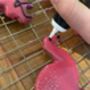 Flamingo Biscuits Baking Kit, thumbnail 4 of 4