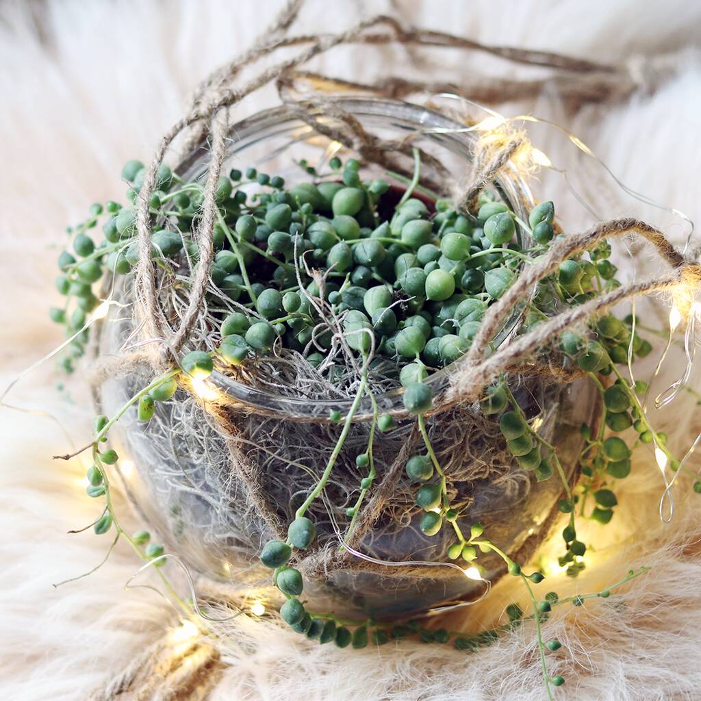 Christmas Hanging Plant Bauble By FlowerBe