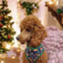 Christmas Dino Rawr Biscuits Dog Harness, thumbnail 5 of 8