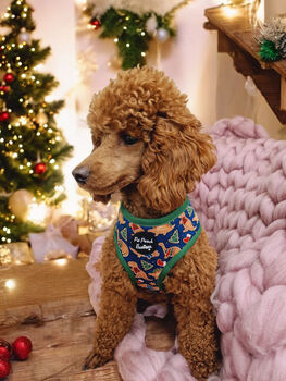 Christmas Dino Rawr Biscuits Dog Harness, 5 of 8