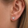 Sterling Silver April Birthstone Stud Earrings, thumbnail 1 of 4