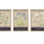 Childs Personalised Pastel Garden Tools, thumbnail 7 of 7