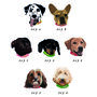 Personalised Dog Illustration Socks, thumbnail 4 of 4