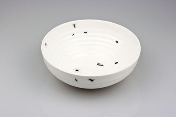 Bowl With Insects, 4 of 12