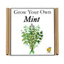 Gardening Gift. Grow Your Own Herbs. Mint Seeds Kit, thumbnail 4 of 4