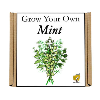 Gardening Gift. Grow Your Own Herbs. Mint Seeds Kit, 4 of 4