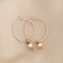 Simple Gold Plated Pearl Hoop Earrings, thumbnail 5 of 7