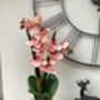 Large Peach Artificial Silk Orchid, thumbnail 2 of 7