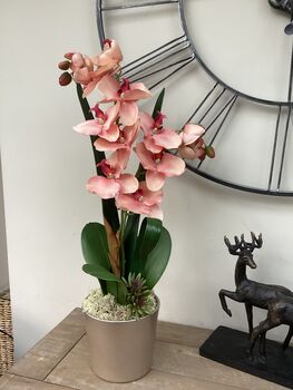 Large Peach Artificial Silk Orchid, 2 of 7