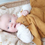 Organic Cotton Baby Comforter Bear, thumbnail 1 of 8