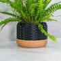 Carbon Tidal Planter, thumbnail 3 of 4