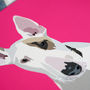 English Bull Terrier Illustrated Dog Print, thumbnail 2 of 4