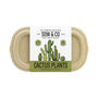 Sow And Co Grow Kits Chilli, Bonsai, Herbs Or Cactus, thumbnail 6 of 12