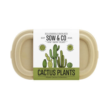 Sow And Co Grow Kits Chilli, Bonsai, Herbs Or Cactus, 6 of 12