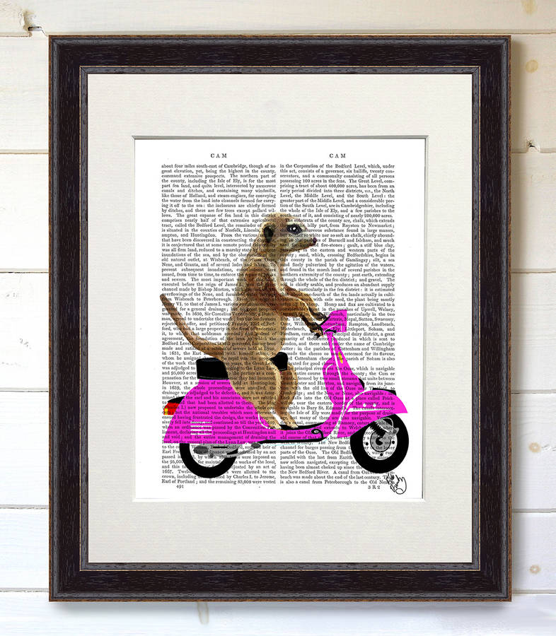 meerkat on a pink moped book print by fabfunky home decor ...