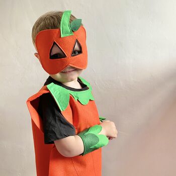 Felt Halloween Pumpkin Costume For Children And Adults, 8 of 10