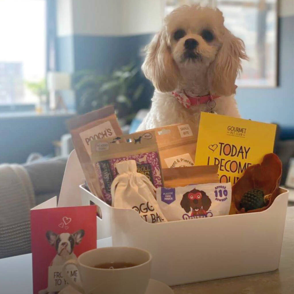 Barking Bundle Gourmet Dog Treats By Gourmet Pet Club