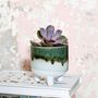 Green Ombre Mini Stoneware Vase, thumbnail 1 of 4