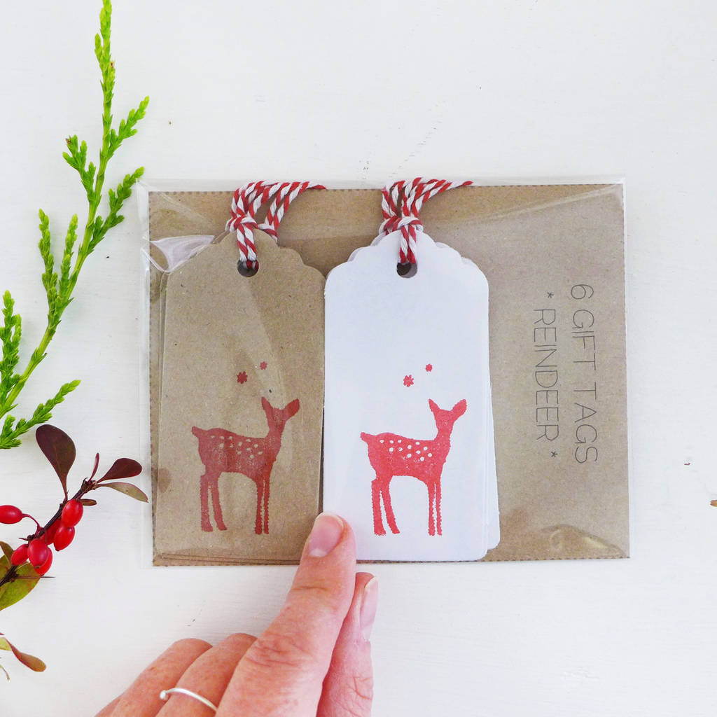 Reindeer Gift Tags By Charlotte Macey | notonthehighstreet.com