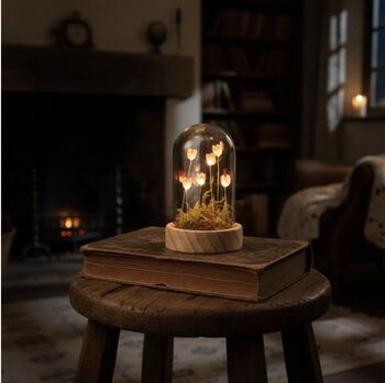 Meadow LED Dome Large Or Medium, 3 of 5