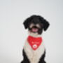 Valentines 'Be Mine' Bandana For Girl Or Boy Dogs, thumbnail 4 of 5