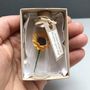 Tiny Sunflower In A Bottle With Personalised Message, thumbnail 7 of 12