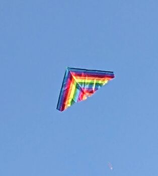 Rainbow Delta Kite By Morgan Kites, 2 of 5